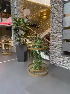 Голден Тюлип - 47