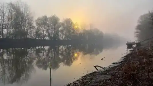 Астра - 39