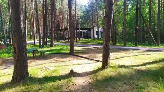 Лесная здравница - 12