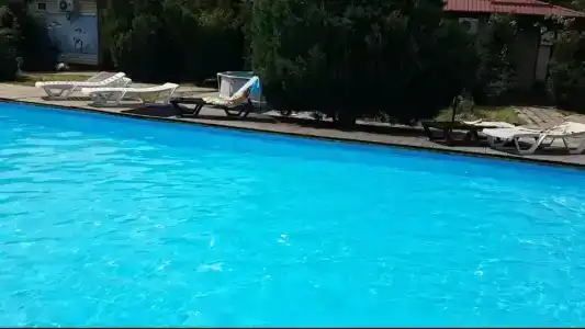Белые ночи - 28
