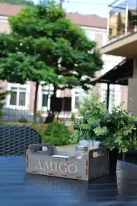 AMIGO Panna-Cotta - 8