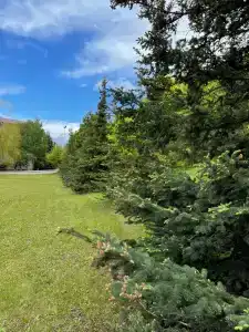 Сокол - 1