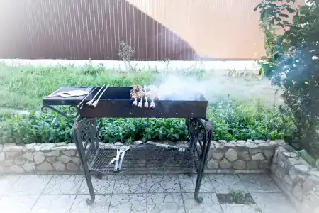 Ленивый Дельфин - 13