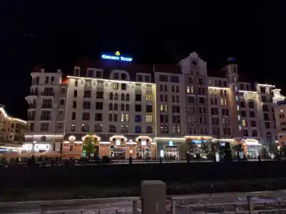 Голден Тюлип - 63