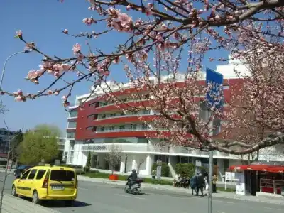 Феста Панорама - 3