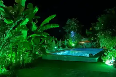 Фламинго - 18