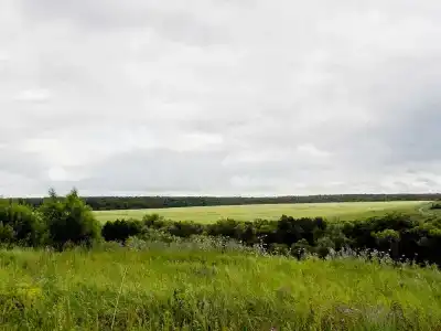 Ягодная Поляна - 4