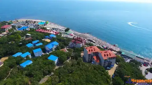 Черномор - 49