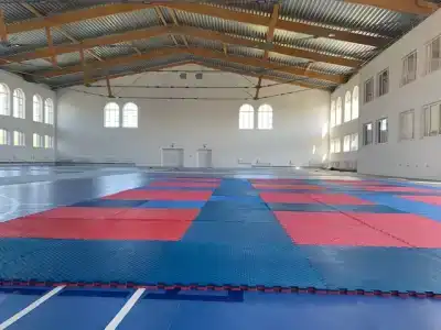 Огниково - 41