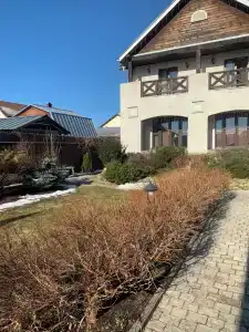 Старая Провинция - 80