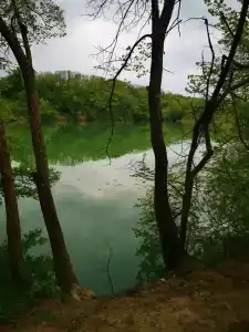 Родное - 89