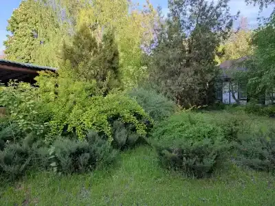 Марафон - 59