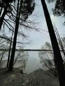 Дача на Истре - 89