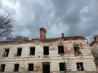 Львиный страус - 13