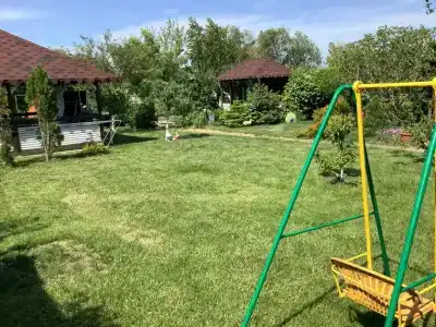 Колибри - 1