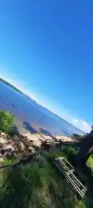 Медвежий угол - 4