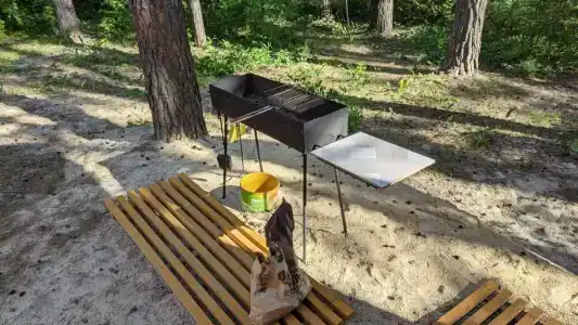 Сосновые дома - 58