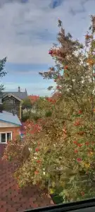 Усадьба на Спасской - 25