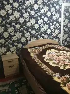 Уютный гостевой дом с видом на горы - 4