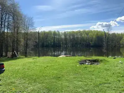 Веселый Роджер - 45