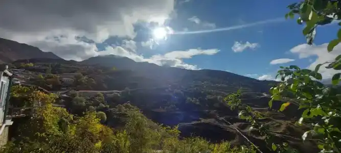 у тёти Ханий - 11