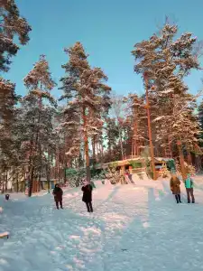 Чайка - 15