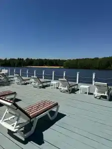 Гуси-Лебеди - 86