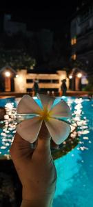 Nipa Resort, Patong Beach - Sha Extra Plus - 18