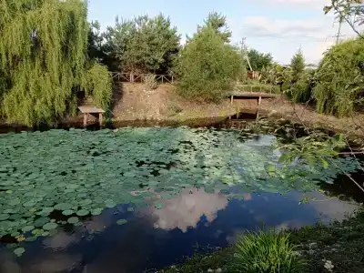 Афродита - 96