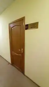Веста - 11