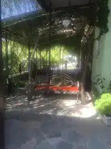 Надежда - 18