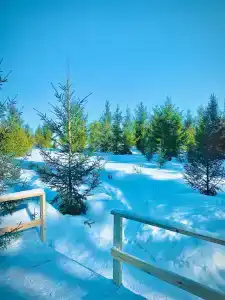 Холмистый - 31