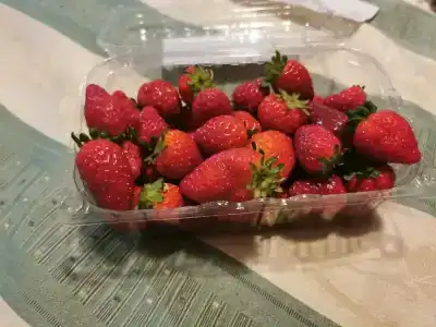 Славянская - 32