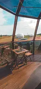 Ферма-Цыпа's - 55