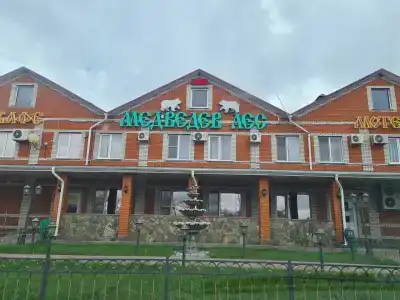 Медведев лес - 26