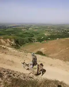 Grand Moffah - 15
