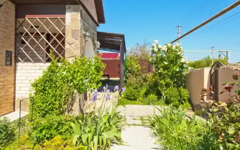 Ленивый Дельфин - 19