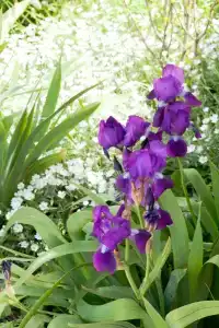 Ленивый Дельфин - 21