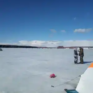 Подвязье - 3