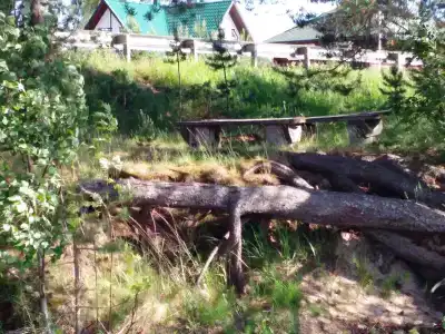 Онежский петроглиф - 6