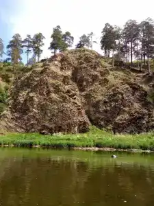Ясная поляна - 6