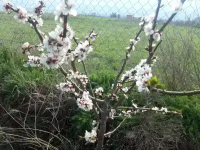 Частный дом на Октябрьской 36 - 17