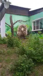 Кусторка - 15