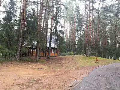 Аврора - 55
