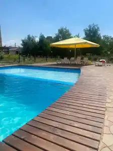 Виста - 55