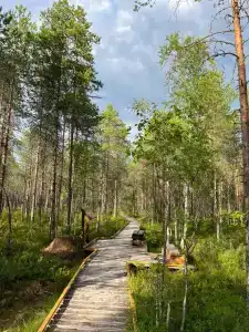 Турприют у Ряпушки - 2