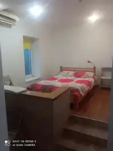 Розмарин - 23