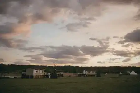 Сыч - 18