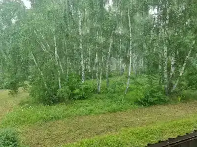 Лесное озеро - 3