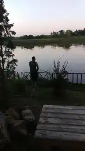 Иволга - 30